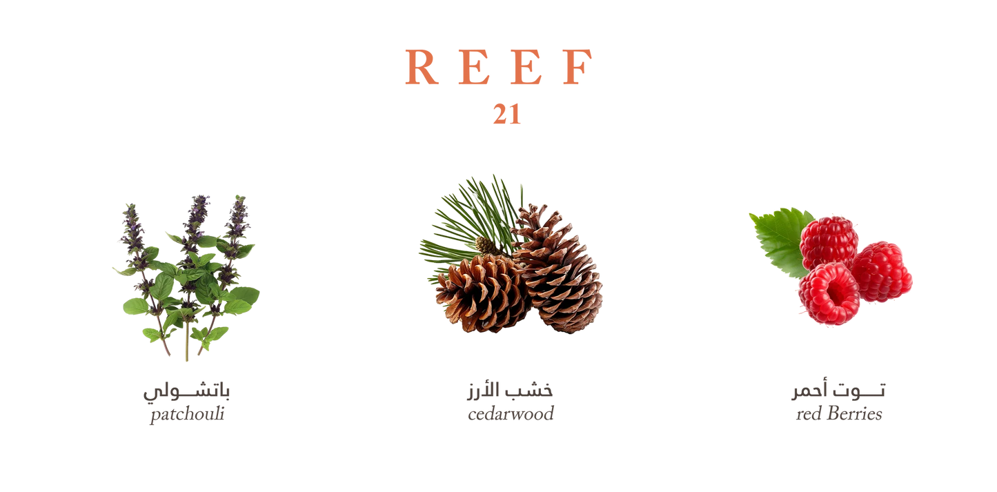 REEF 21 PARFUME 100ML