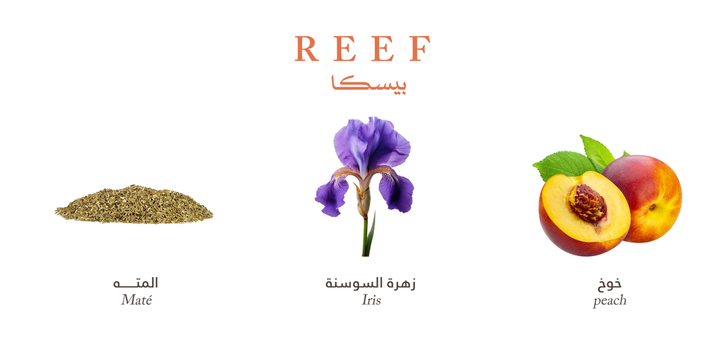 REEF PESCA PARFUM 200ML