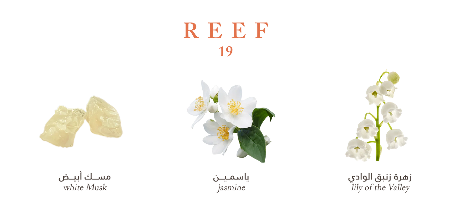 REEF 19 PARFUM 100ML