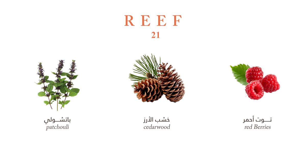 REEF 21 PARFUME 100ML