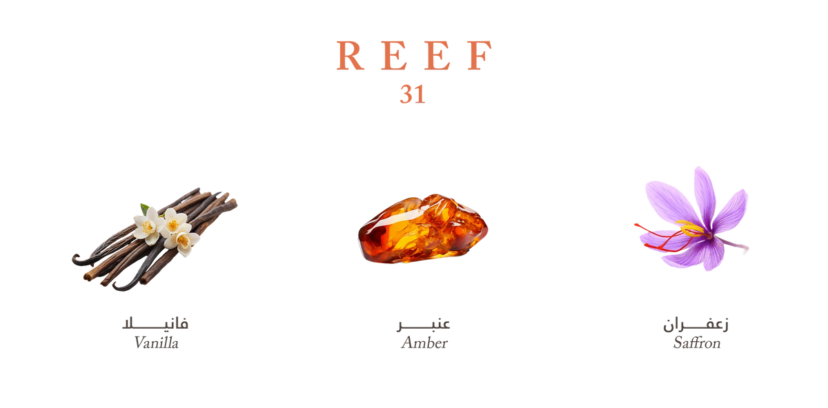REEF 31 PARFUME 100ML