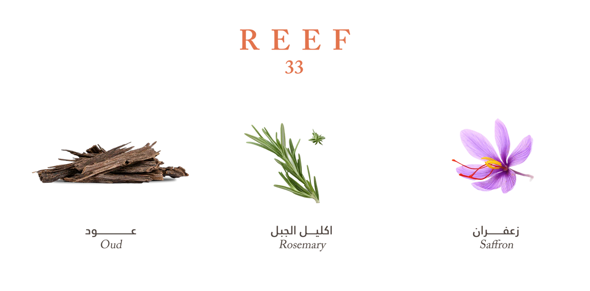 REEF 33 PARFUME 100ML