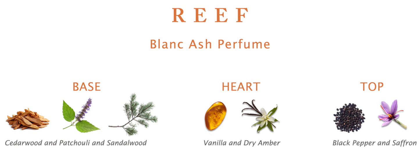 REEF BLANC ASH PARFUM 150 ML