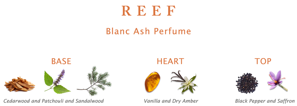 REEF BLANC ASH PARFUM 150 ML