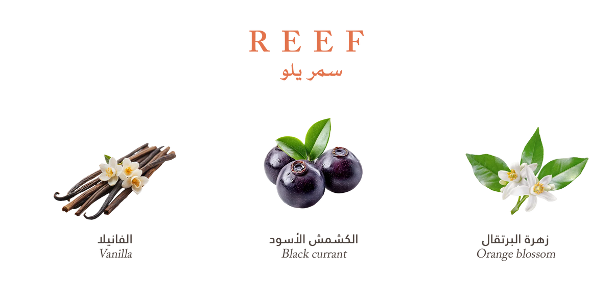 REEF SUMMER YELLOW 100ML