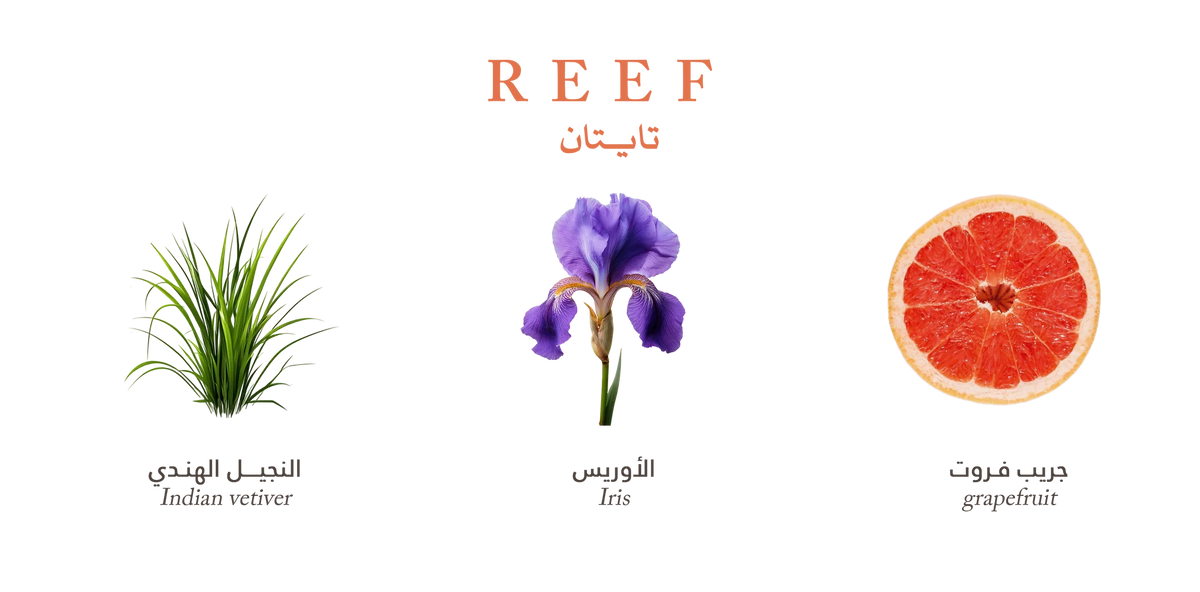 REEF TITAN PARFUME 200ML