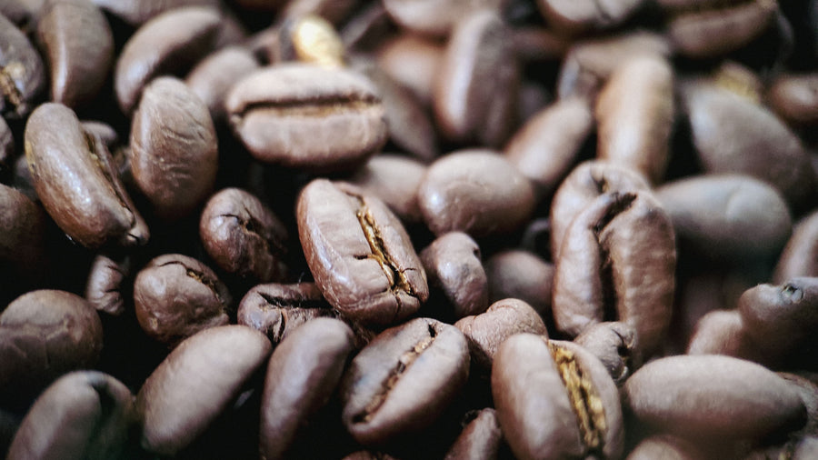 Tonka Bean