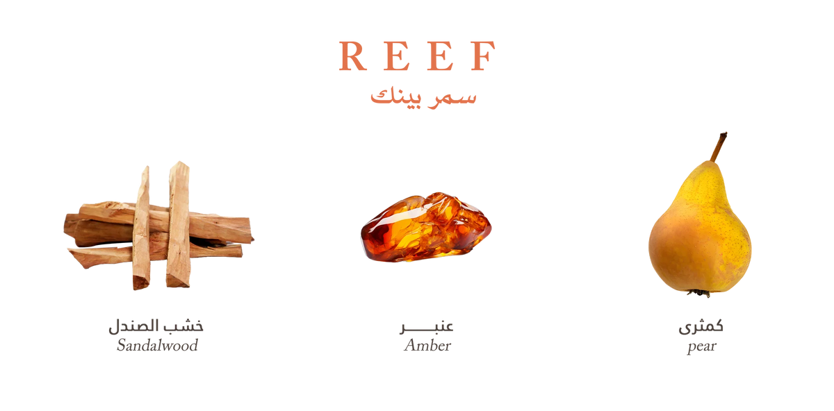 Reef Pink – Amber Silk Blend 100ml